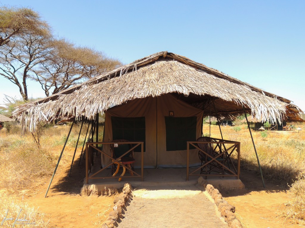 safari kenya parco tendato